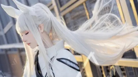 刘强东回乡放大招